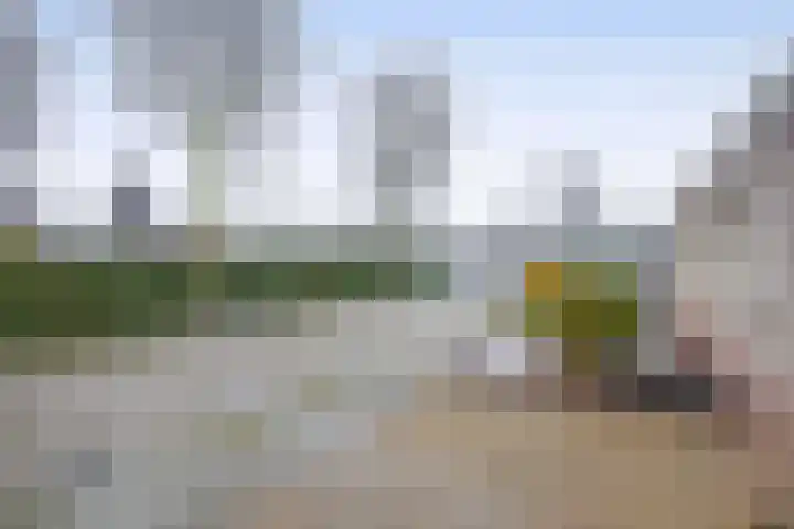 Rendierlaan 6 Helmond thumbnail 11