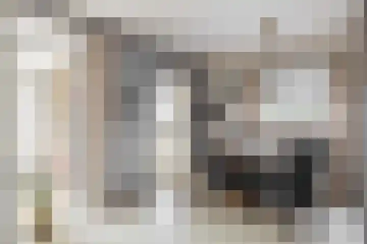 Rendierlaan 6 Helmond thumbnail 19