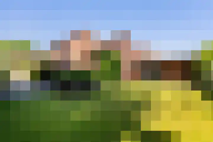 Rendierstraat 25 Volkel thumbnail 28