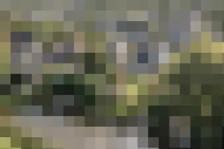 Rendierstraat 25 Volkel thumbnail 4