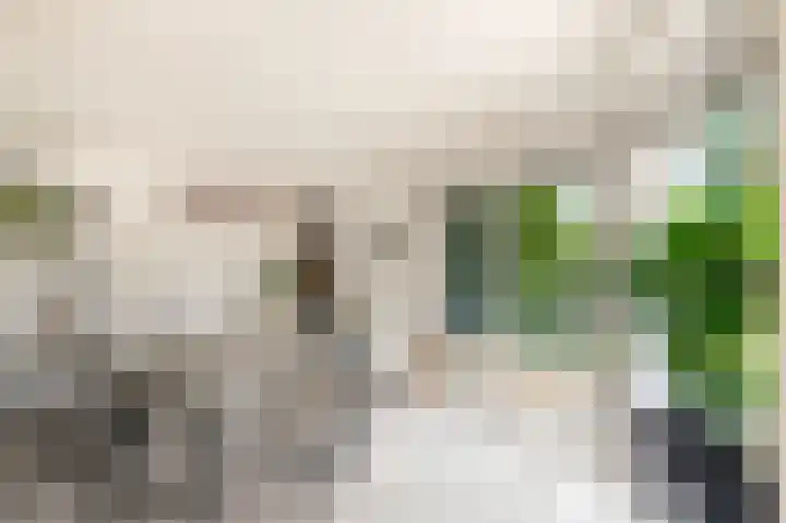 Rendorppark 42 Heemskerk thumbnail 17