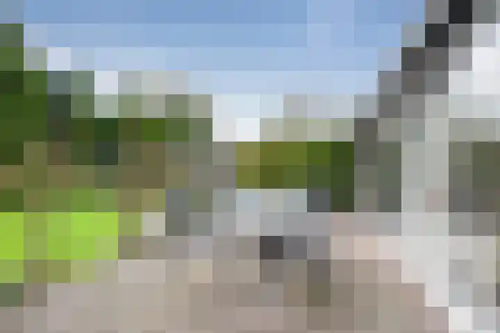Rendorppark 42 Heemskerk thumbnail 37