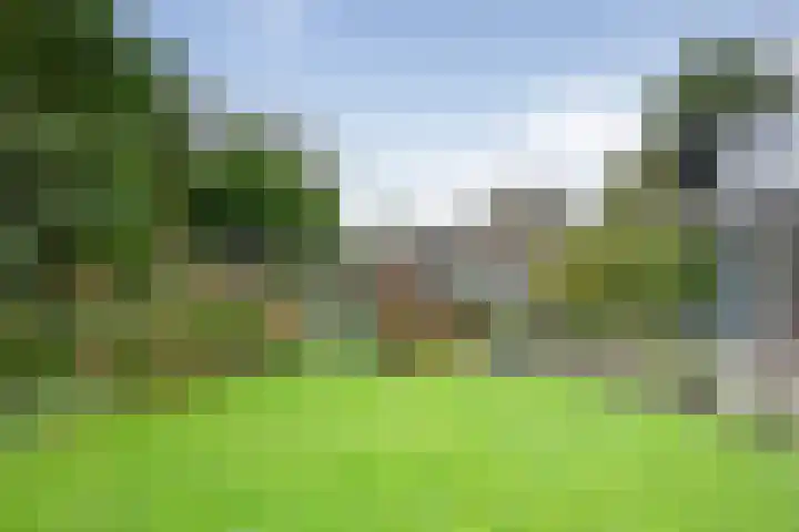 Rendorppark 42 Heemskerk thumbnail 39