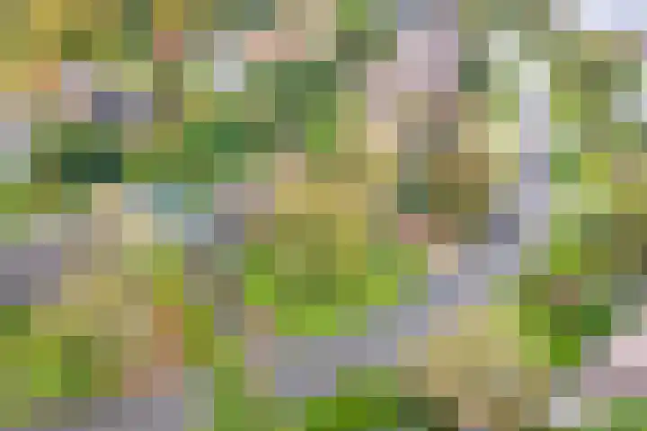 Rendorppark 42 Heemskerk thumbnail 42
