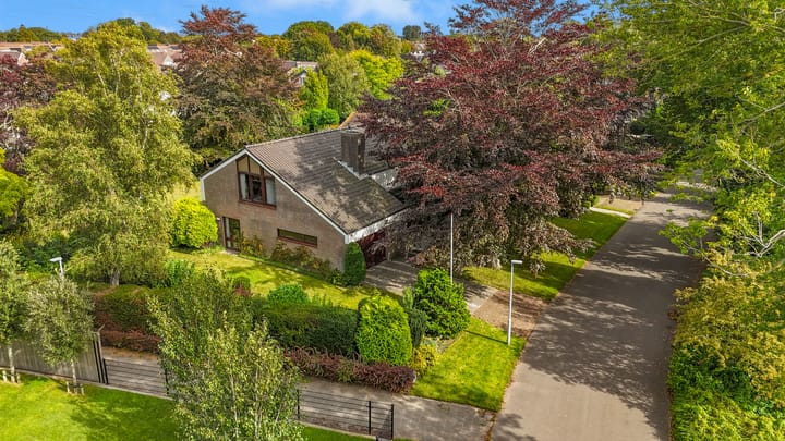 Rendorppark 80 in Heemskerk foto