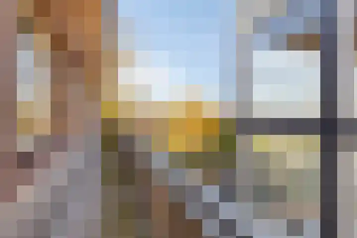 Foto van René Knippenberg