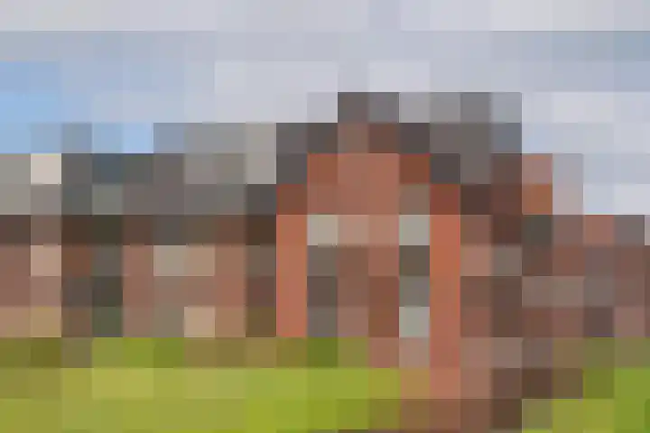 Renes 67 Scherpenzeel