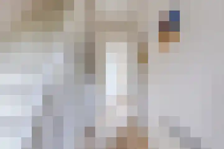 Renessestraat 20 Assendelft thumbnail 17