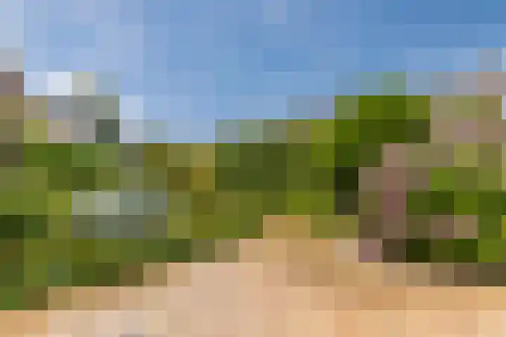 Renessestraat 20 Assendelft foto 3