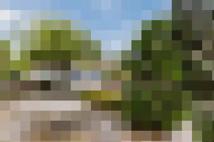 Renessestraat 20 Assendelft thumbnail 32