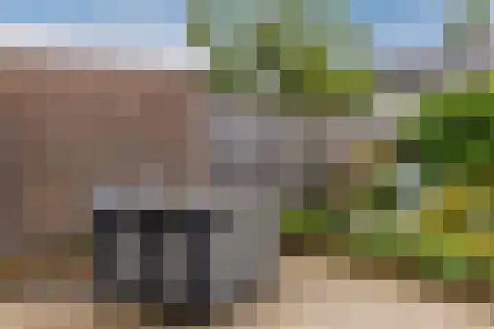 Renessestraat 20 Assendelft thumbnail 35