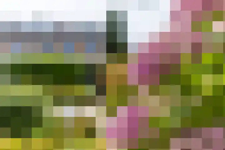 Renessestraat 20 Assendelft thumbnail 36
