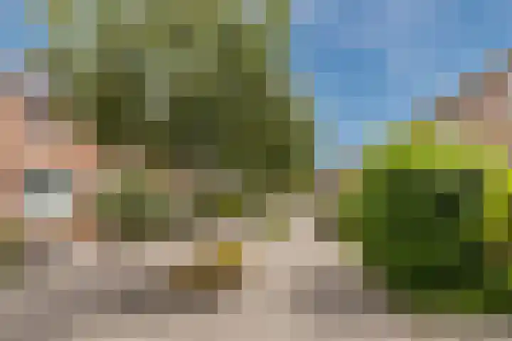 Renessestraat 20 Assendelft thumbnail 38