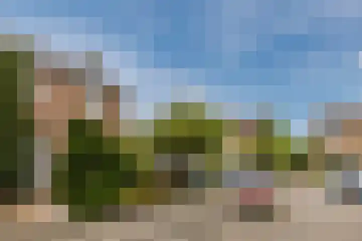 Renessestraat 20 Assendelft thumbnail 39