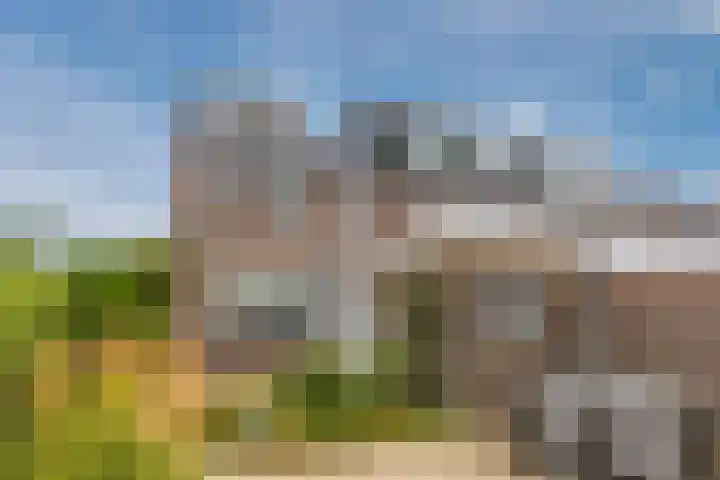Renessestraat 20 Assendelft thumbnail 4