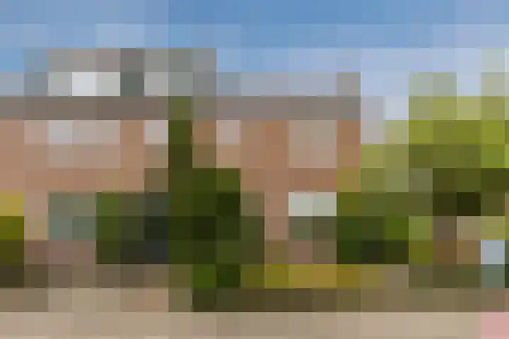 Renessestraat 20 Assendelft thumbnail 5
