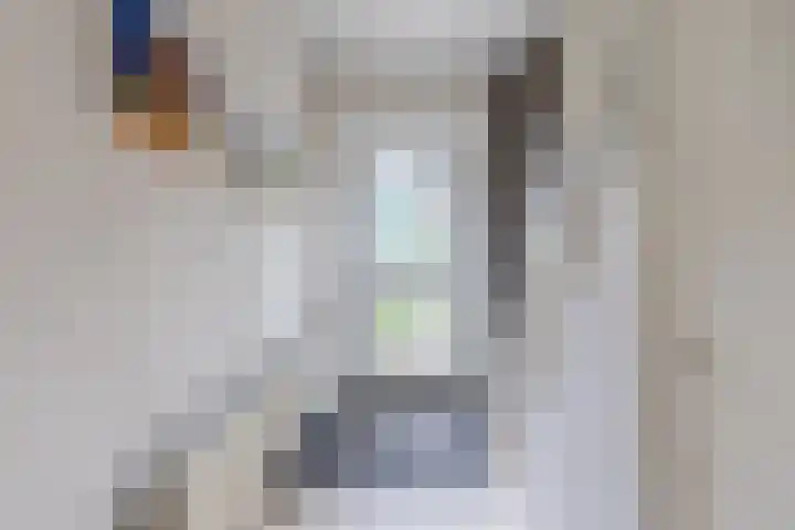 Renessestraat 20 Assendelft thumbnail 7