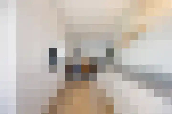 Renetstraat 25 Afferden thumbnail 18