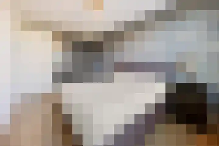 Renetstraat 25 Afferden thumbnail 30