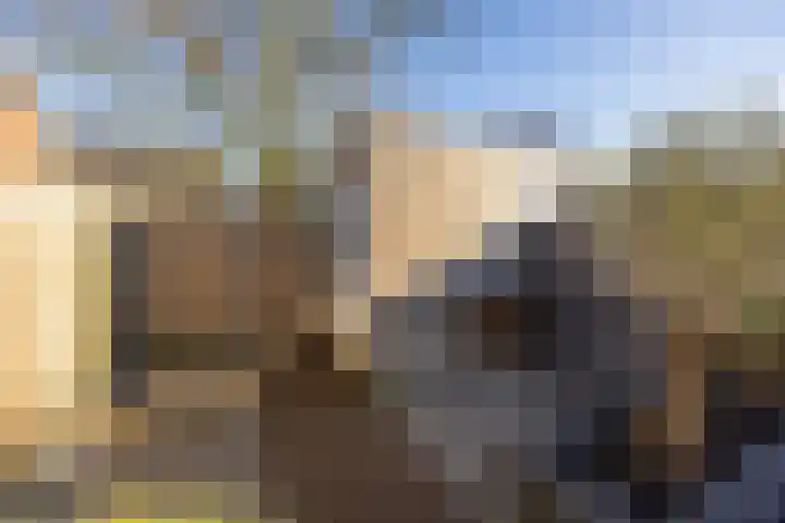 Renetstraat 25 Afferden thumbnail 44