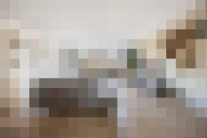 Renetstraat 25 Afferden thumbnail 6
