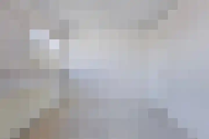 Renkumhof 36 Amsterdam thumbnail 9