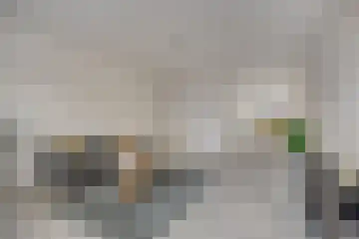Renkumhof 54 Amsterdam thumbnail 8