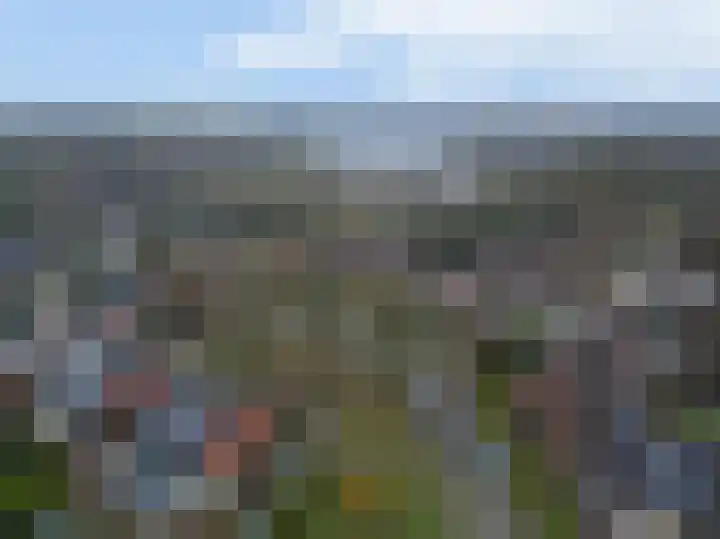 Rensel 29 Veendam thumbnail 29