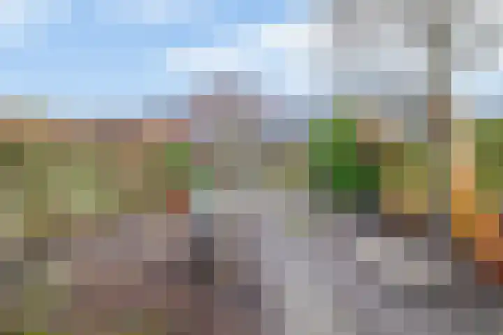 Rensel 29 Veendam thumbnail 4