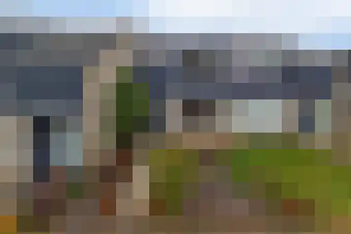 Rensel 29 Veendam thumbnail 5