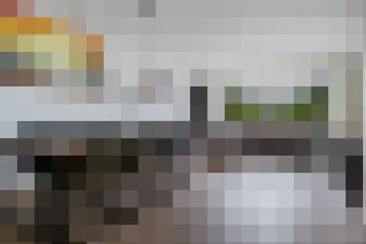 Rensel 51 Veendam thumbnail 12