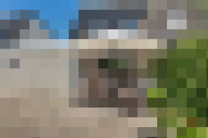 Rensel 51 Veendam thumbnail 42