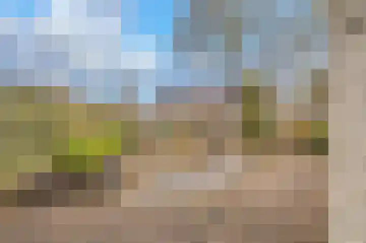 Rensel 67 Veendam thumbnail 37