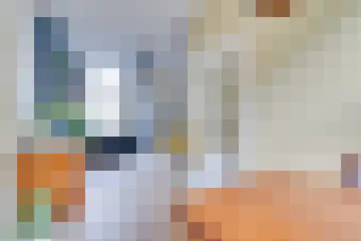 Renstraat 5 Utrecht thumbnail 13