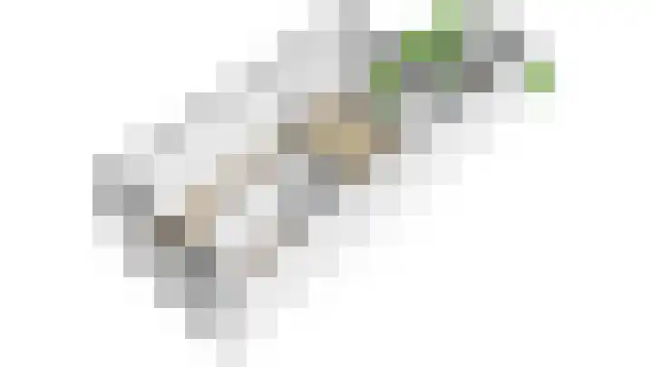 Renstraat 5 Utrecht thumbnail 39