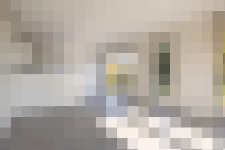 Rentambt 30 Elst thumbnail 21