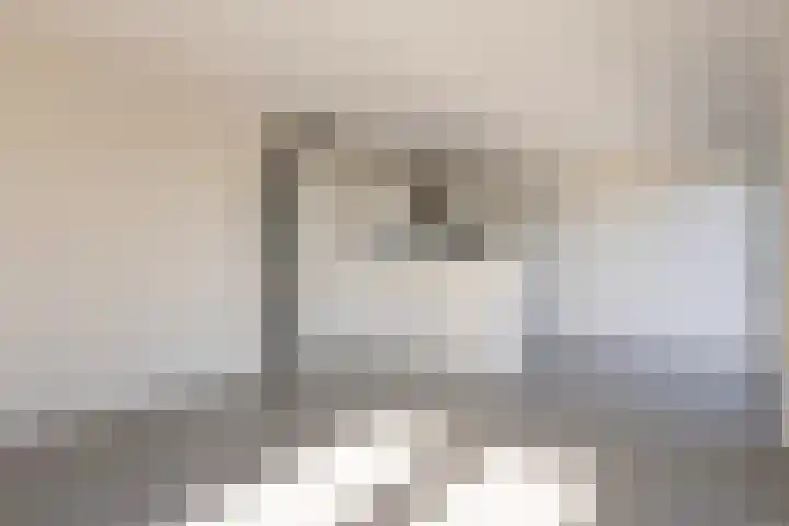 Rentambt 30 Elst thumbnail 22