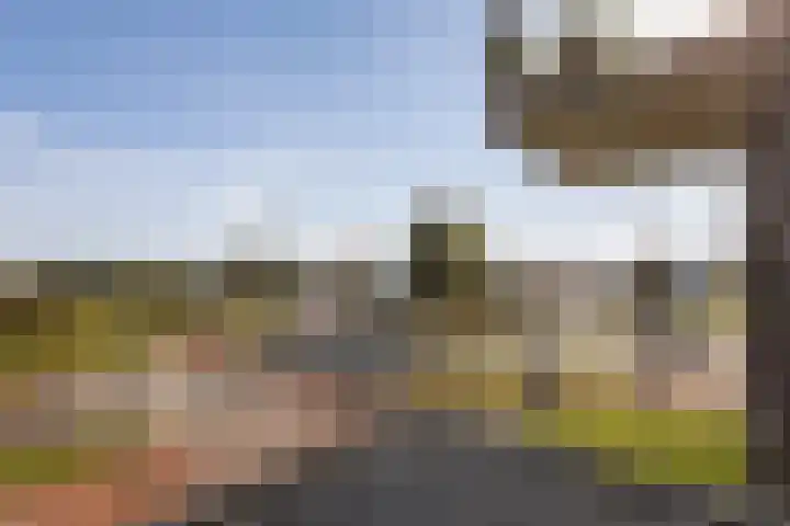 Rentambt 30 Elst thumbnail 27