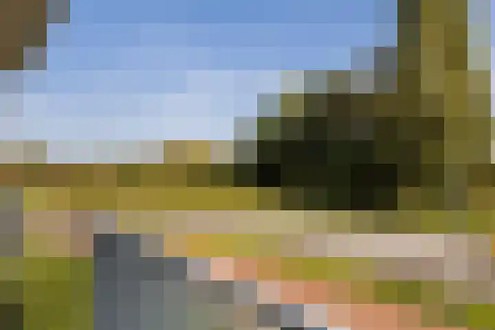Rentambt 30 Elst thumbnail 28