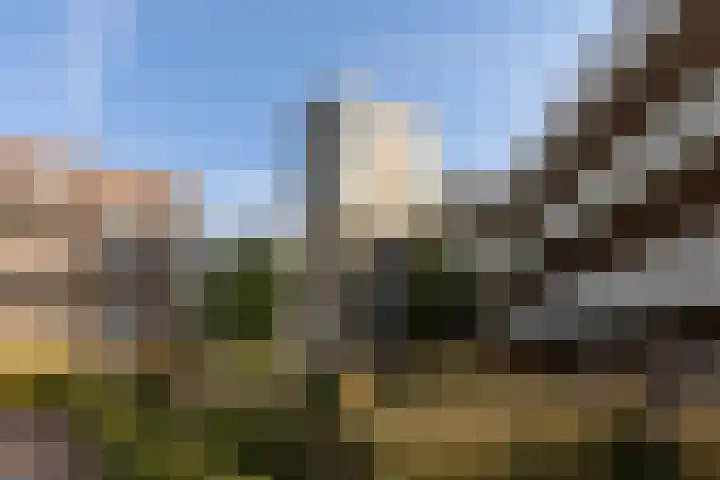 Rentambt 30 Elst thumbnail 4