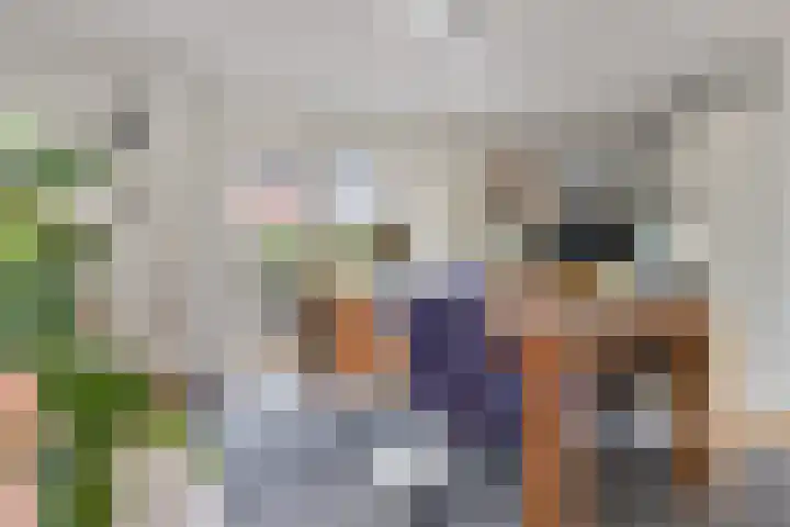 Rentmeester 23 Steenwijk thumbnail 14