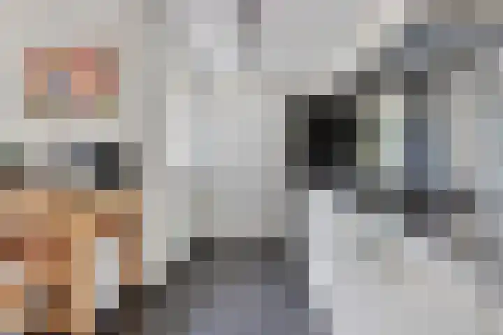 Rentmeester 23 Steenwijk thumbnail 18