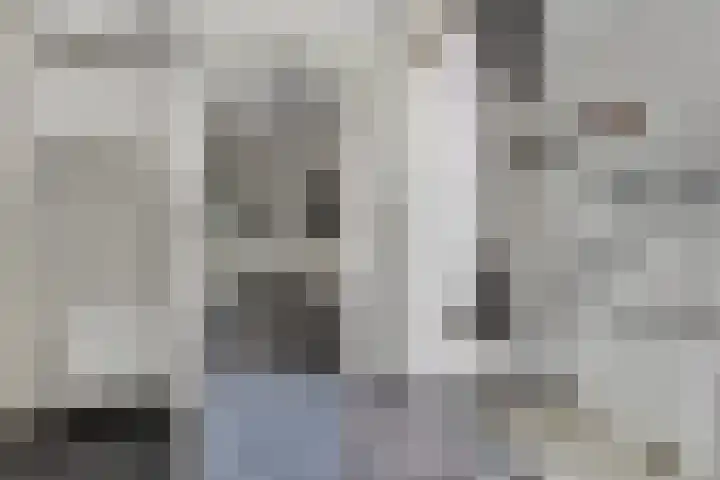 Rentmeester 23 Steenwijk thumbnail 21