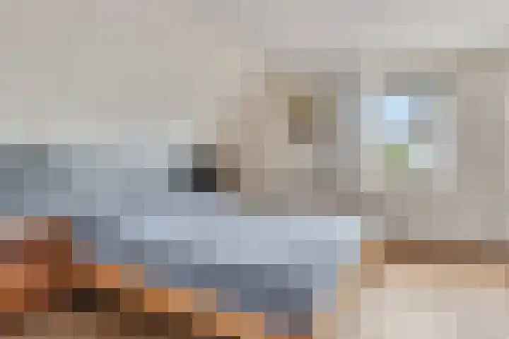 Rentmeester 23 Steenwijk thumbnail 25