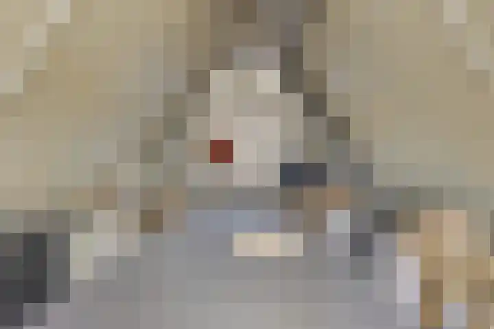 Rentmeester 23 Steenwijk thumbnail 35