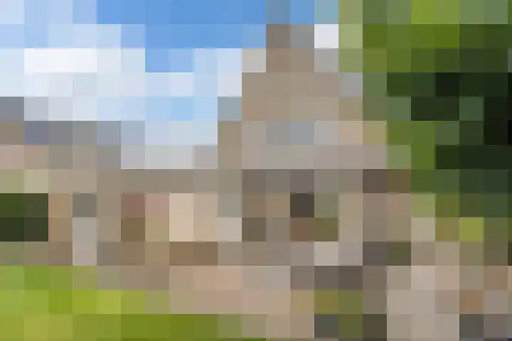 Rentmeester 23 Steenwijk thumbnail 36