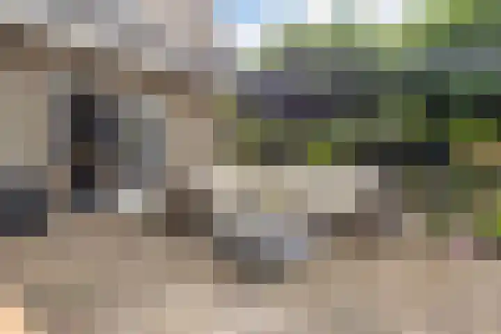 Rentmeester 23 Steenwijk thumbnail 38