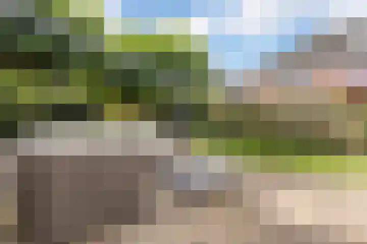 Rentmeester 23 Steenwijk thumbnail 39