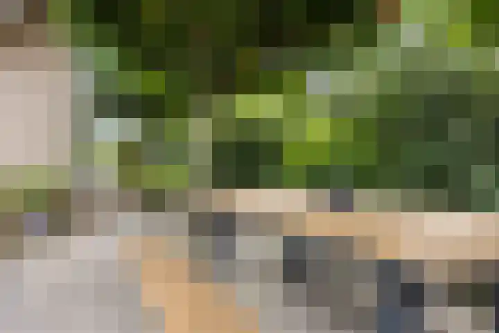 Rentmeester 23 Steenwijk thumbnail 42
