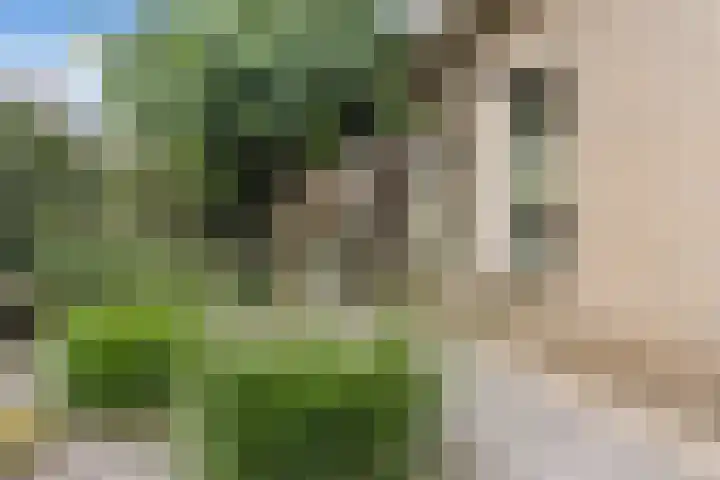 Rentmeester 23 Steenwijk thumbnail 43